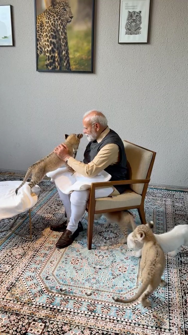 PM Modi meets and feeds young lion and leopard cubs at Vantara in Jamnagar, Gujarat | #shorts